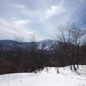 Meet your Posher, Greg